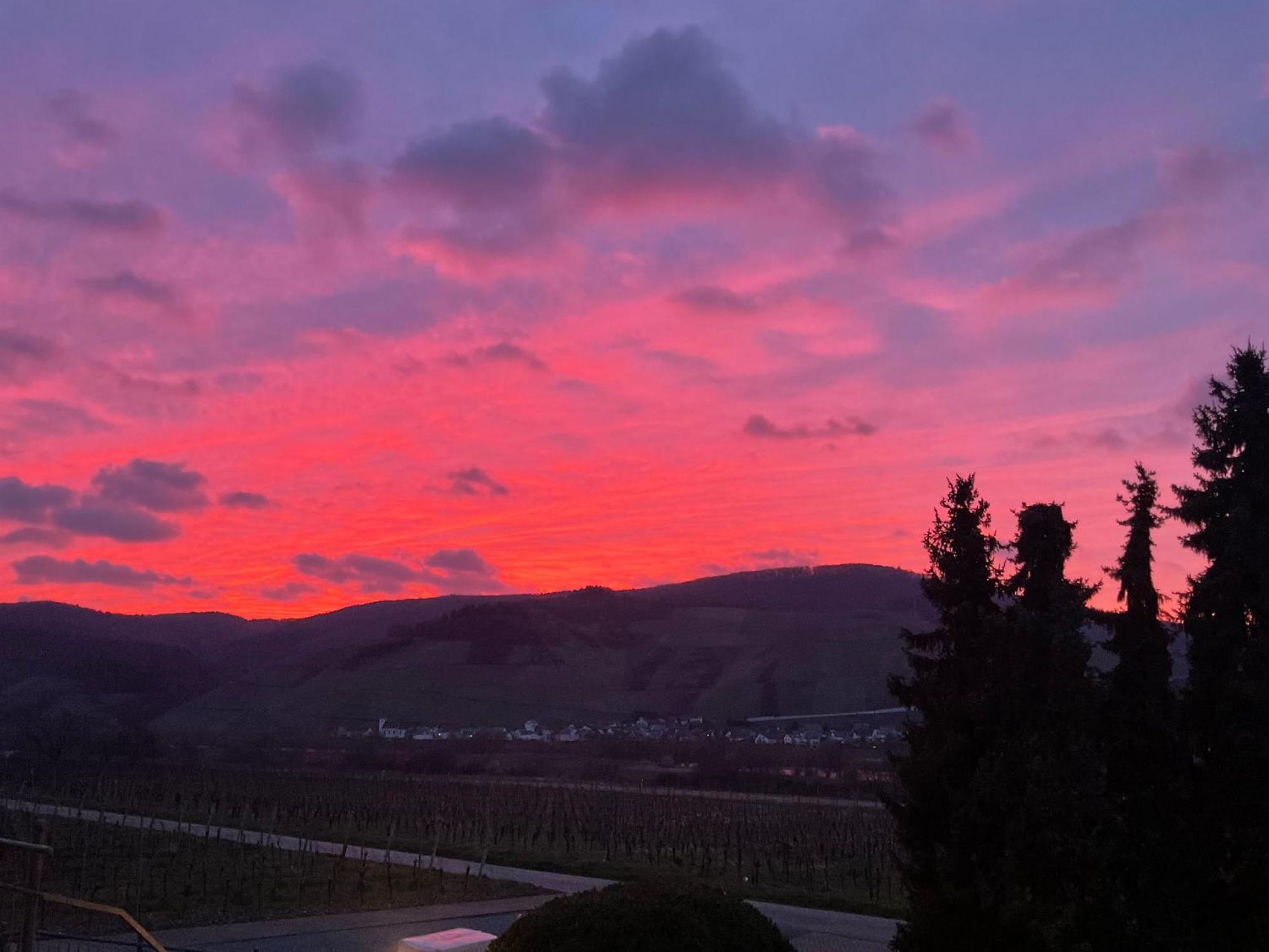 Weingut Bastian Hotel Brauneberg Kültér fotó